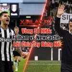 Ảnh đại diện nhận định trận đấu Fulham vs Newcastle vòng 38 Ngoại hạng Anh với HLV Marco Silva và cầu thủ Newcastle, cập nhật mới nhất trên Xoilac TV.