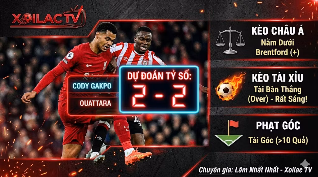 Soi kèo nhà cái Liverpool vs Brentford và dự đoán tỷ số 2-2 chuẩn xác từ chuyên gia Lâm Nhất Nhất của hệ thống Xoilac.